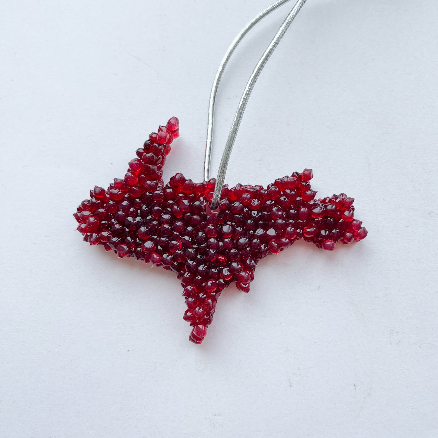 Grand Valley State Stock Equestrian Team - Air Fresheners Autumn