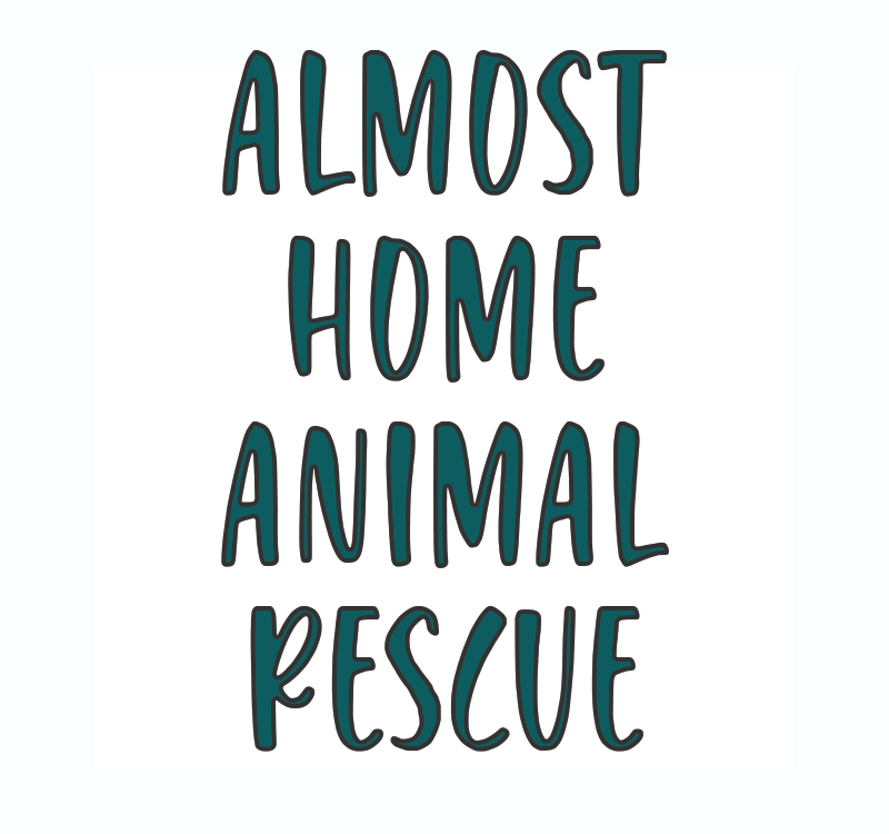 Almost Home Animal Rescue - Autumn