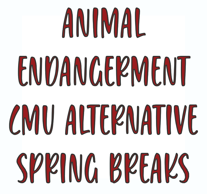 Animal Endangerment CMU Alternative Spring Breaks - Winter