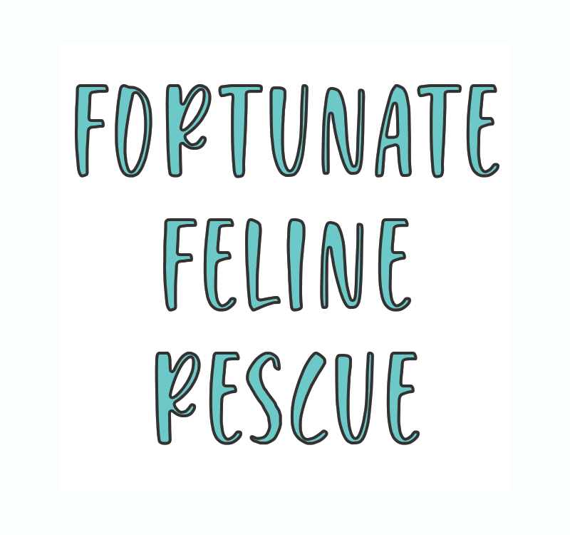 Fortunate Feline Rescue - Autumn