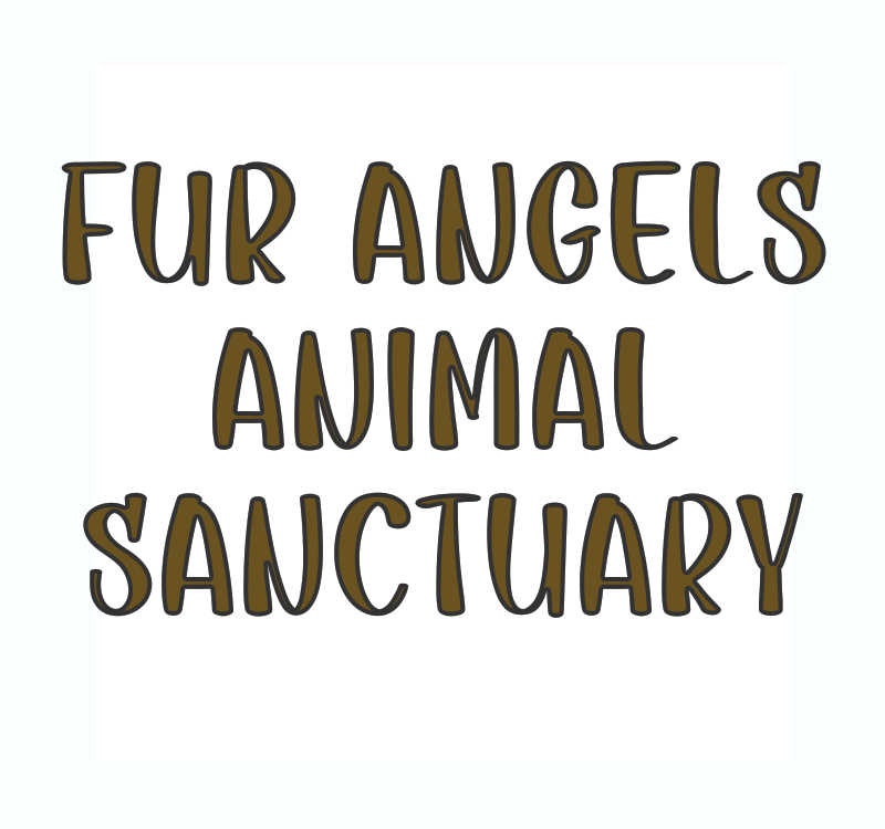 Fur Angels Animal Sanctuary - Autumn