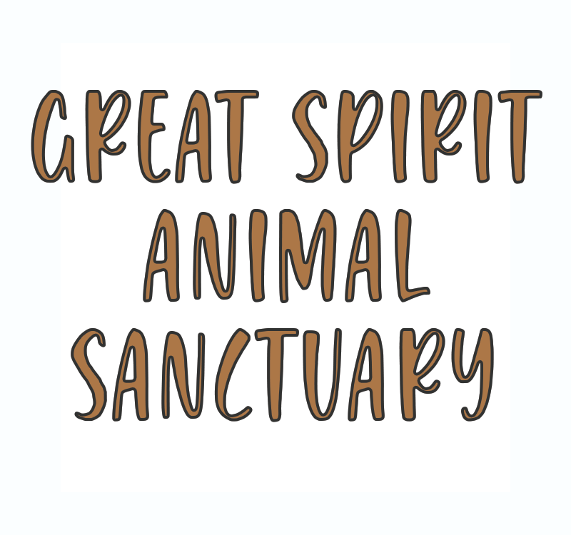 Great Spirit Animal Sanctuary - Winter