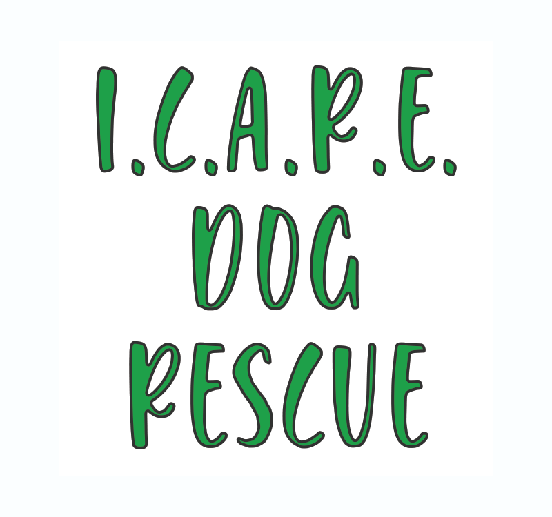 I.C.A.R.E Dog Rescue - Summer