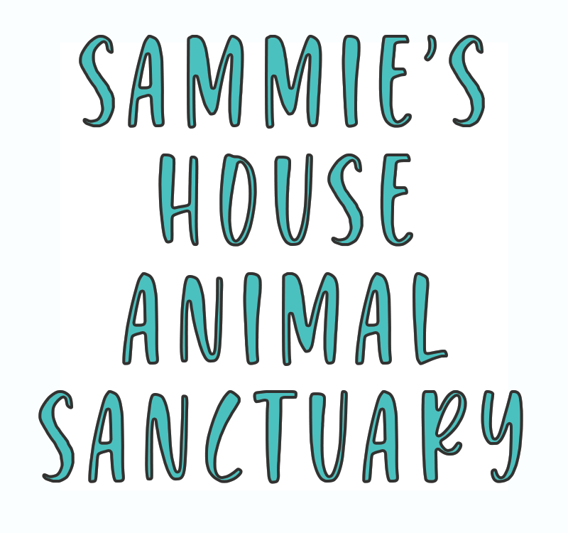 Sammie's House Animal Sanctuary - Autumn