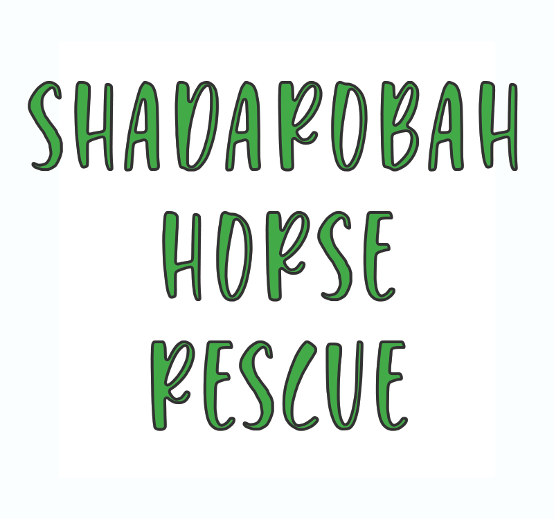 Shadarobah Horse Rescue - Summer