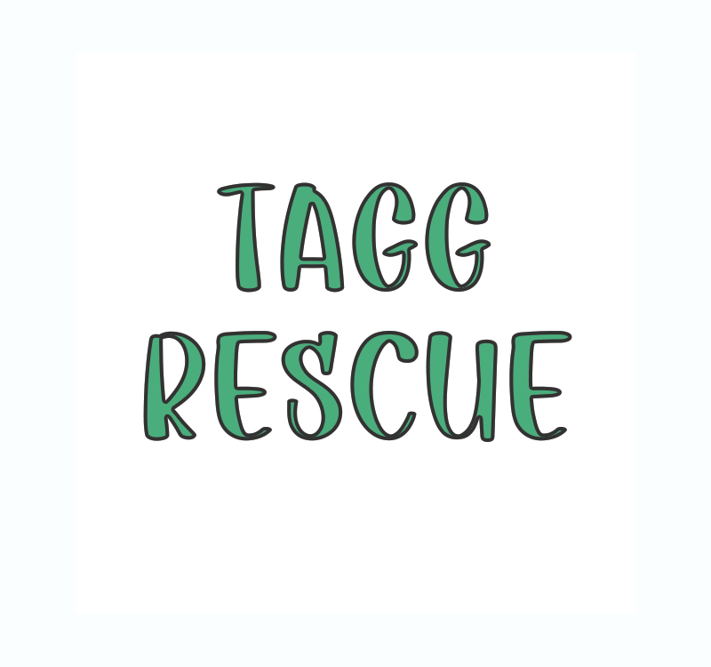 Tagg Rescue - Fall
