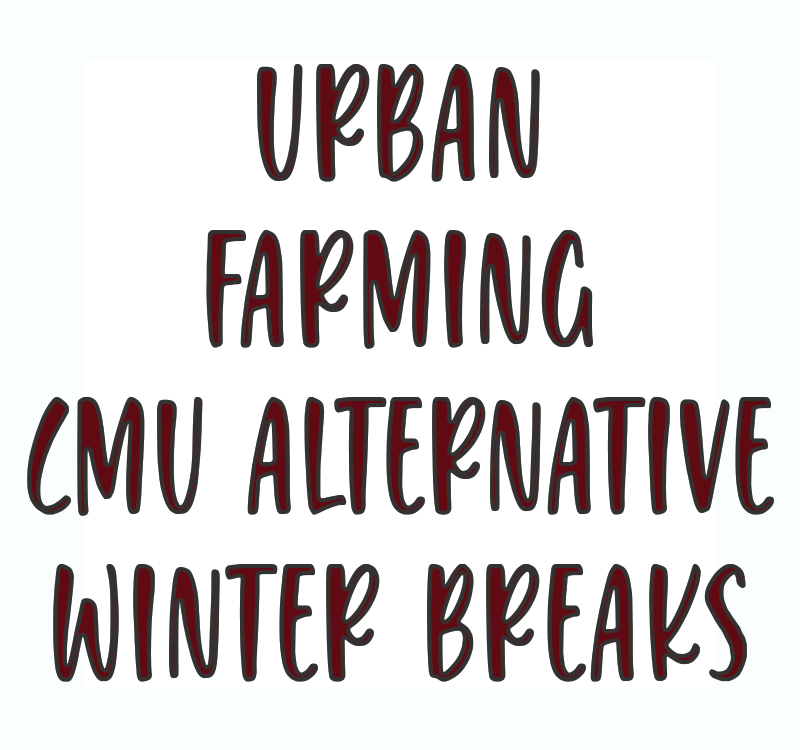 Urban Farming CMU Alternative Winter Breaks - Autumn