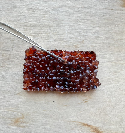 Arcadia University Equestrian Team - Air Fresheners Winter