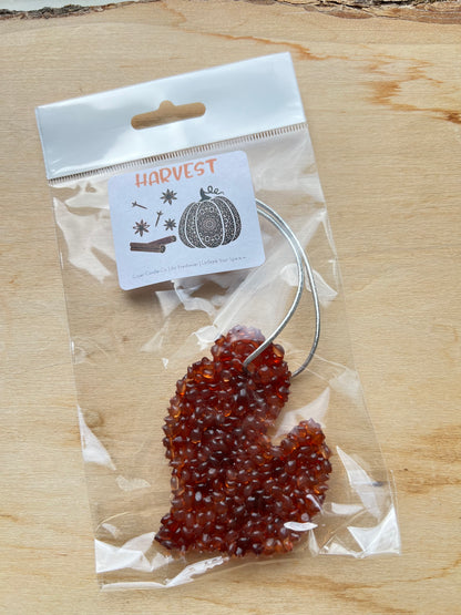 Manda's Rhythm & Dance - Air Fresheners Autumn