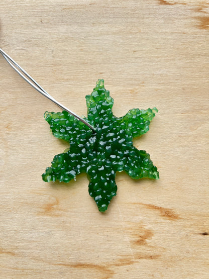 ABC Preschool - Air Fresheners Winter
