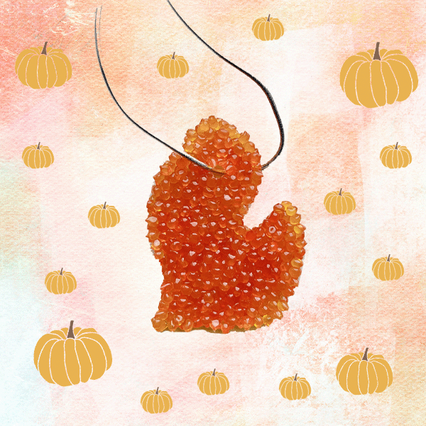 Keigan’s Legacy Fund - Air Fresheners Autumn