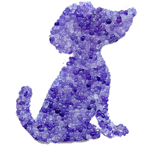 I.C.A.R.E. Dog Rescue - Air Fresheners Summer